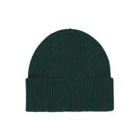 Colorful Standard Merino Wool Beanie (emerald green)