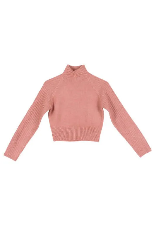 Crop Mock Neck Sweater