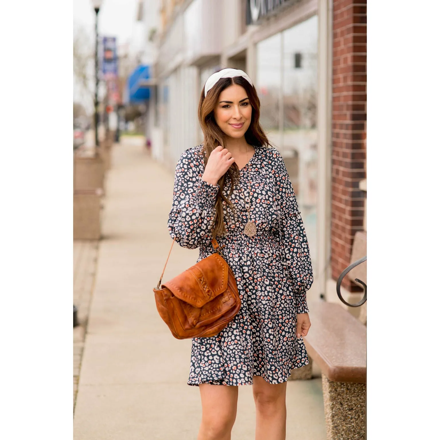 Long Sleeve Hint of Color Leopard Dress