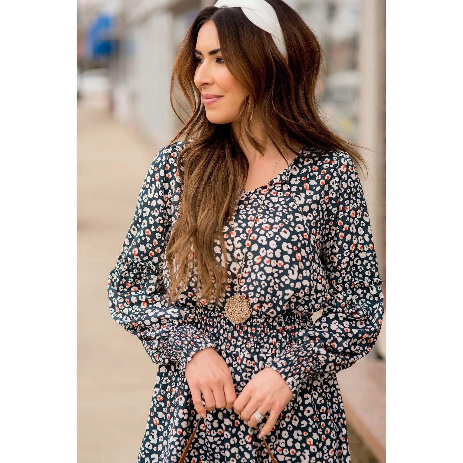 Long Sleeve Hint of Color Leopard Dress