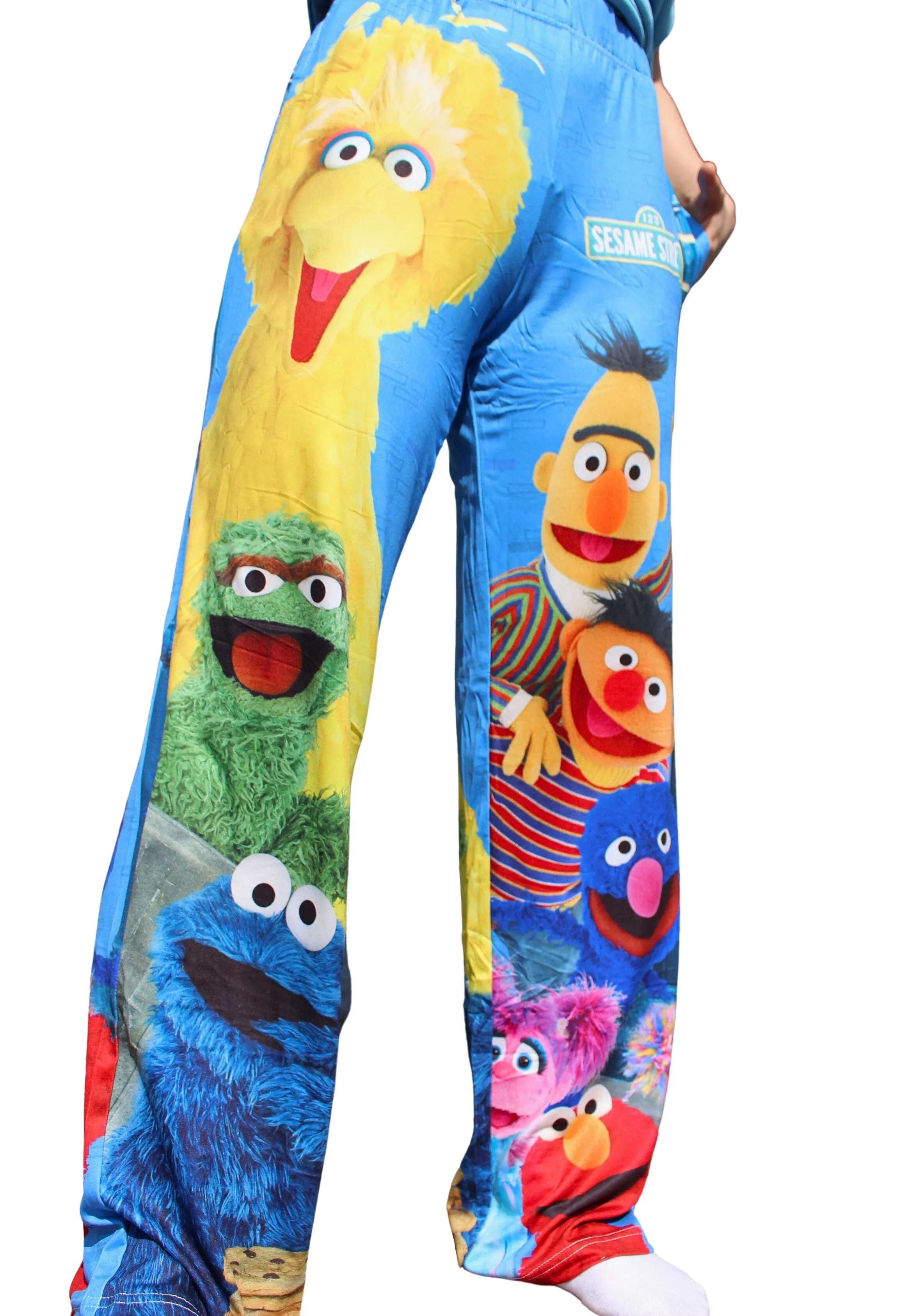 Sesame Street Group Lounge Pants