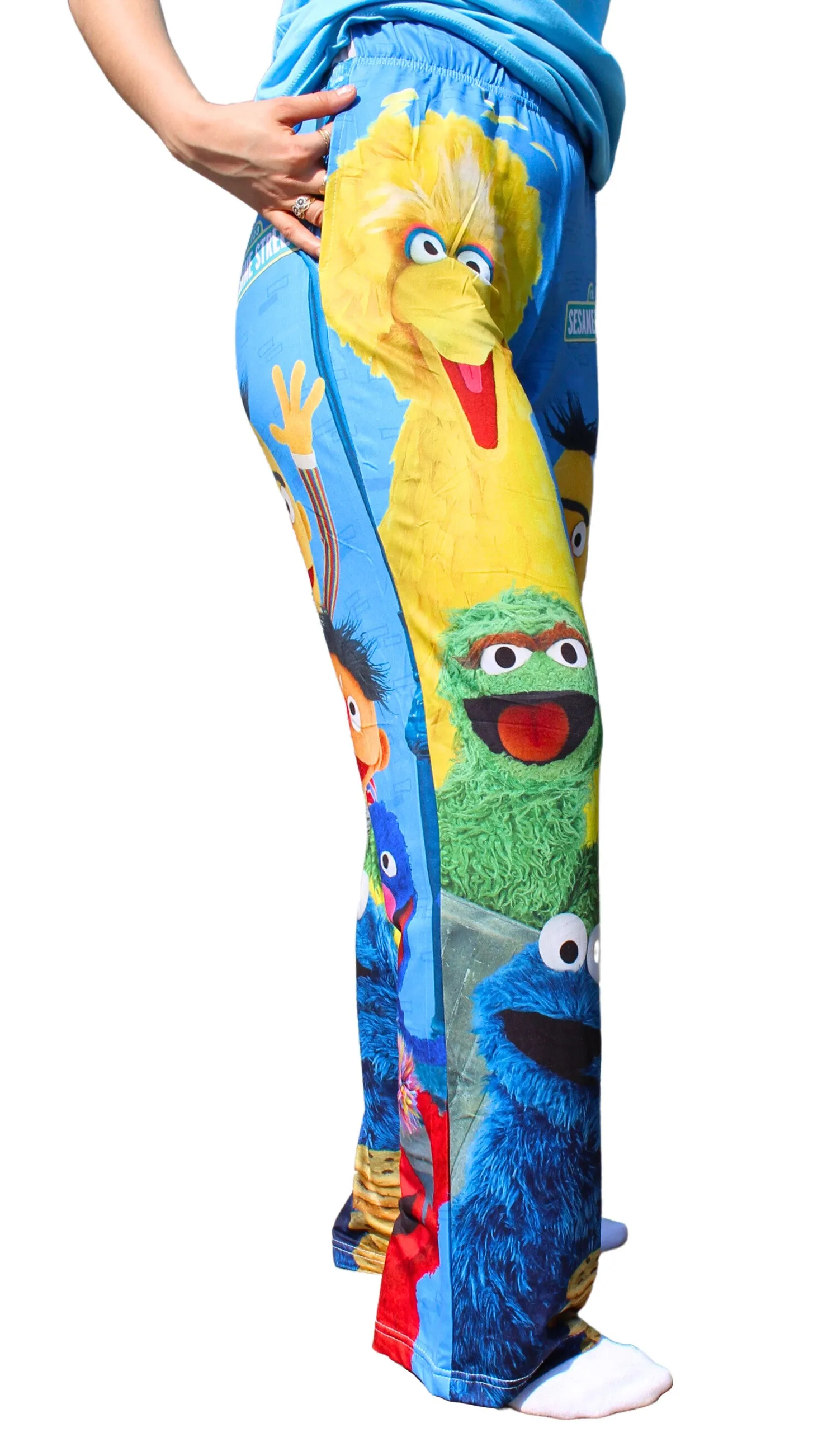 Sesame Street Group Lounge Pants