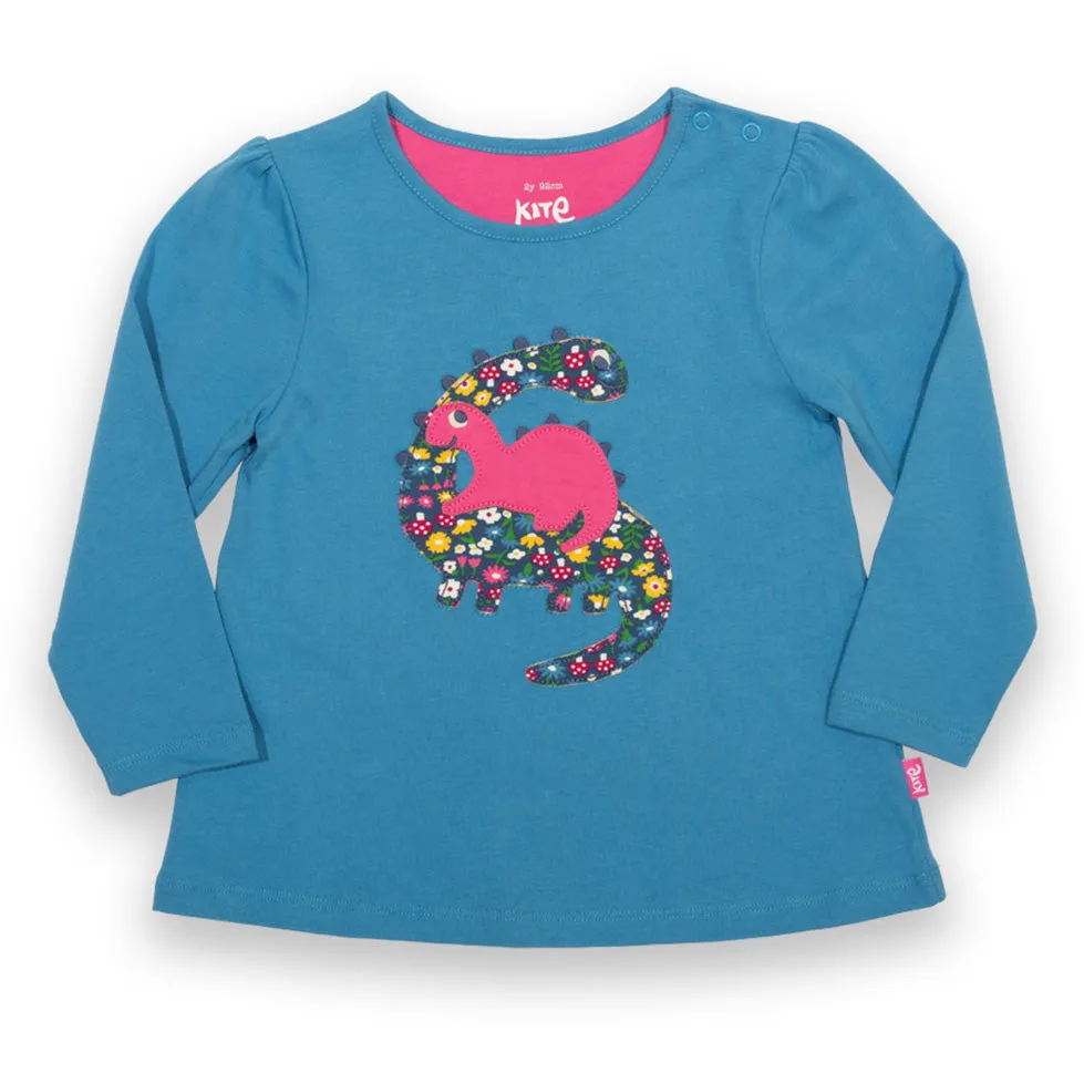 Tunic- dinosaur appliqué