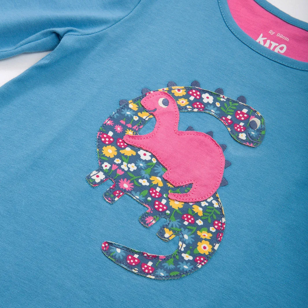 Tunic- dinosaur appliqué